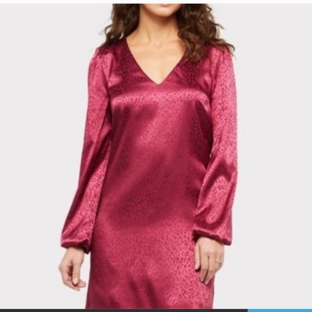 Animal print long sleeved dress